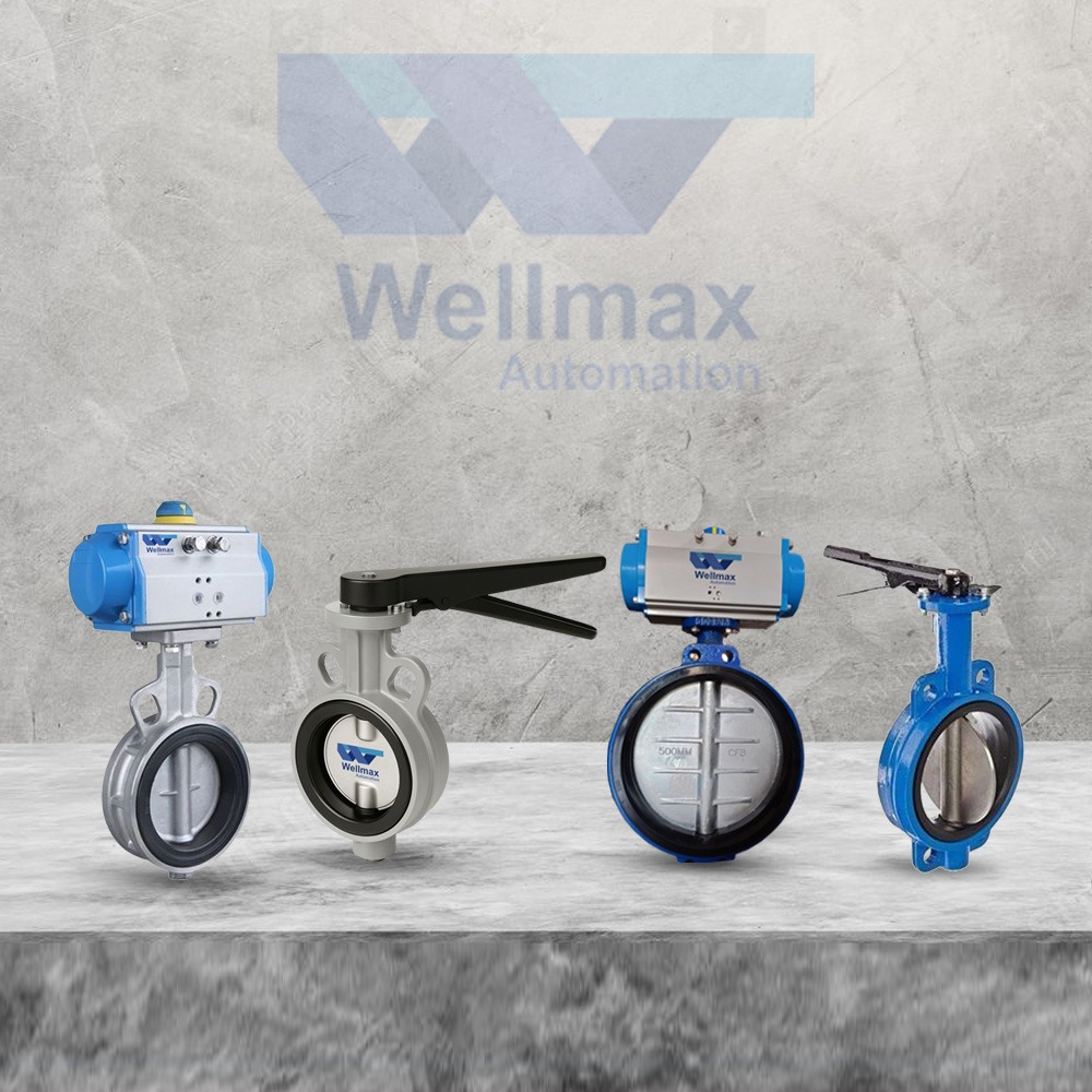 butterfly valve catagory