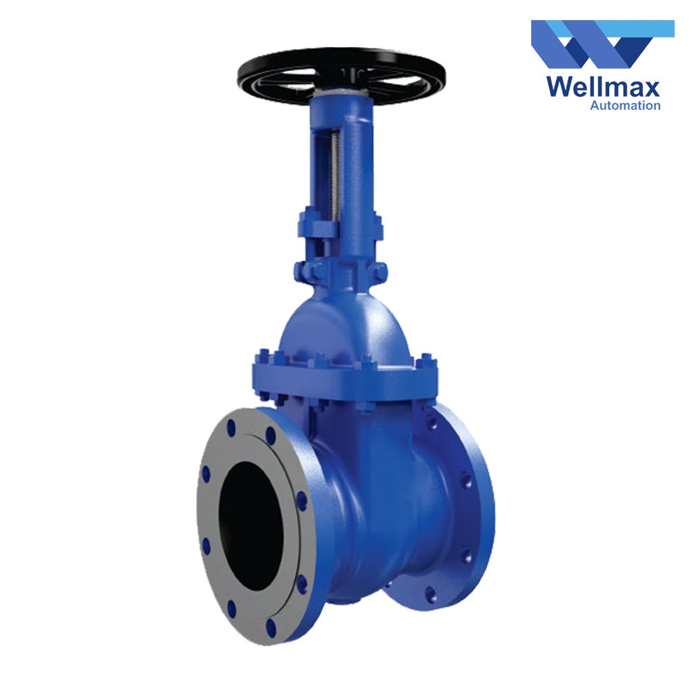 gate valves