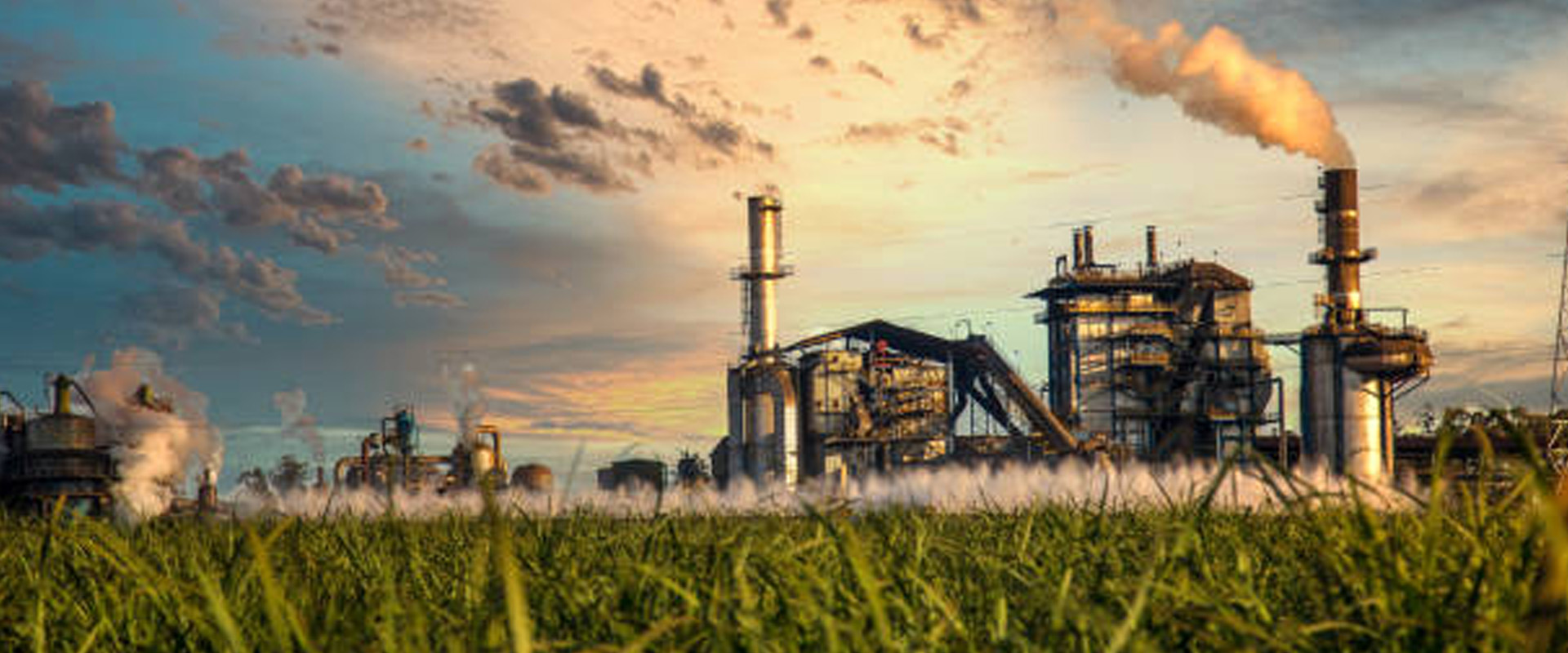 sugar plant industry